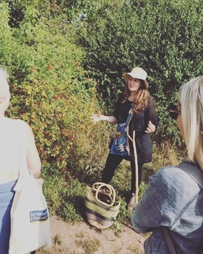 Guided wild plant walks -Sunday 7th June - 1pm - 2.30pm - Welcombe hills Stratford