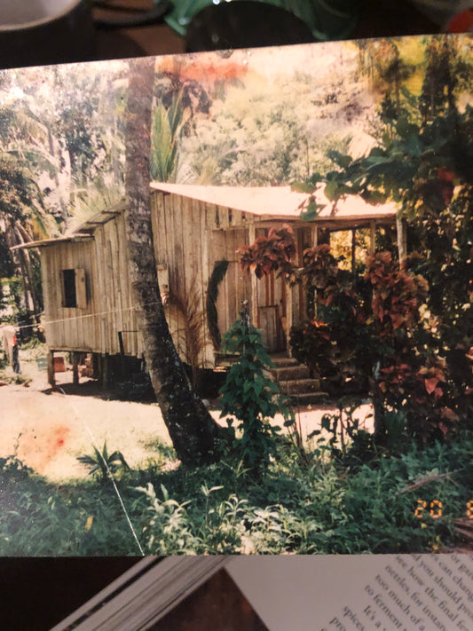 Lemongrass and Ginger