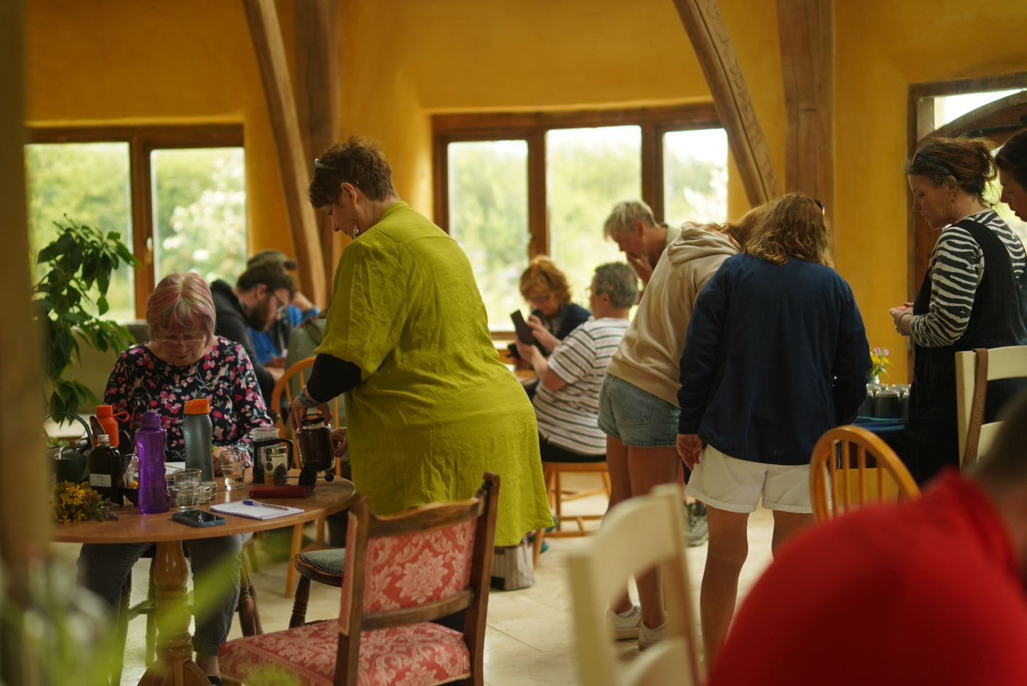 Herbs of late Summer- herbal workshop at Felin Uchaf llyn Peninsula 9th August 2026