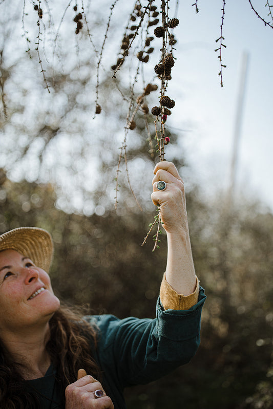 Guided wild plant walks - Tuesday 9th June 10.30-12pm The Stratford Greenway - meeting by Bobbys cafe